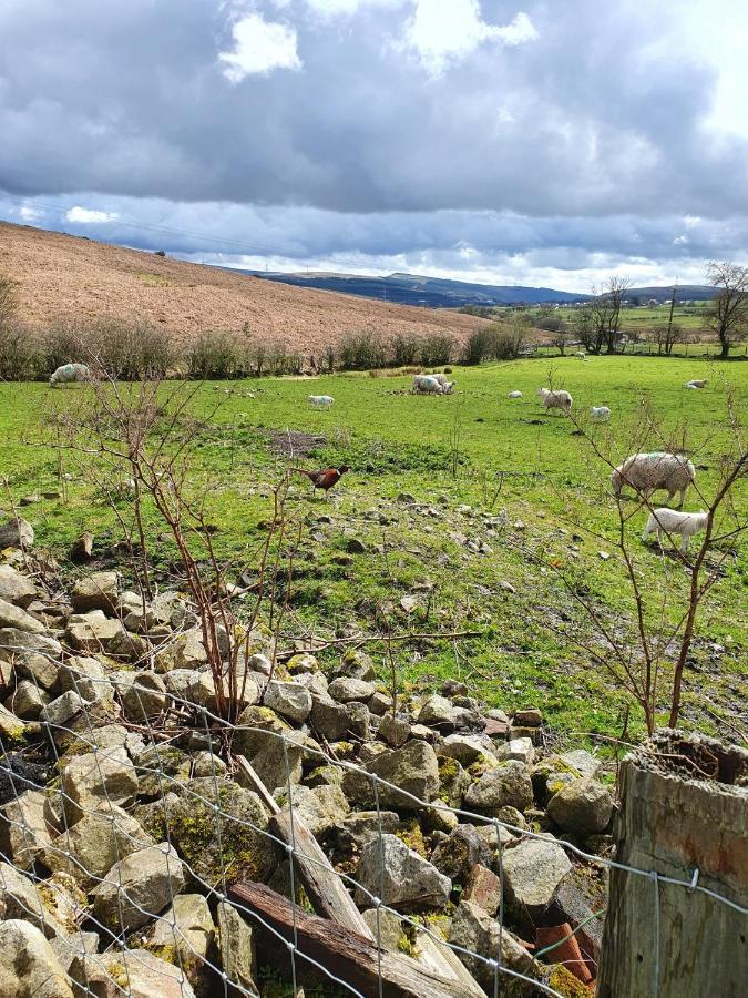 Wales' Highest Village - The Chartist Cottage - Trefil Tredegar Exteriör bild