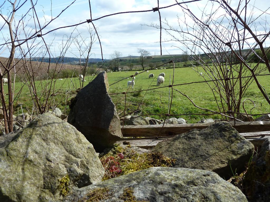 Wales' Highest Village - The Chartist Cottage - Trefil Tredegar Exteriör bild